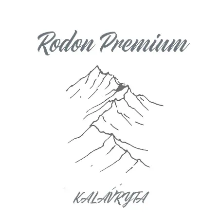 Rodon Premium 펜션 *